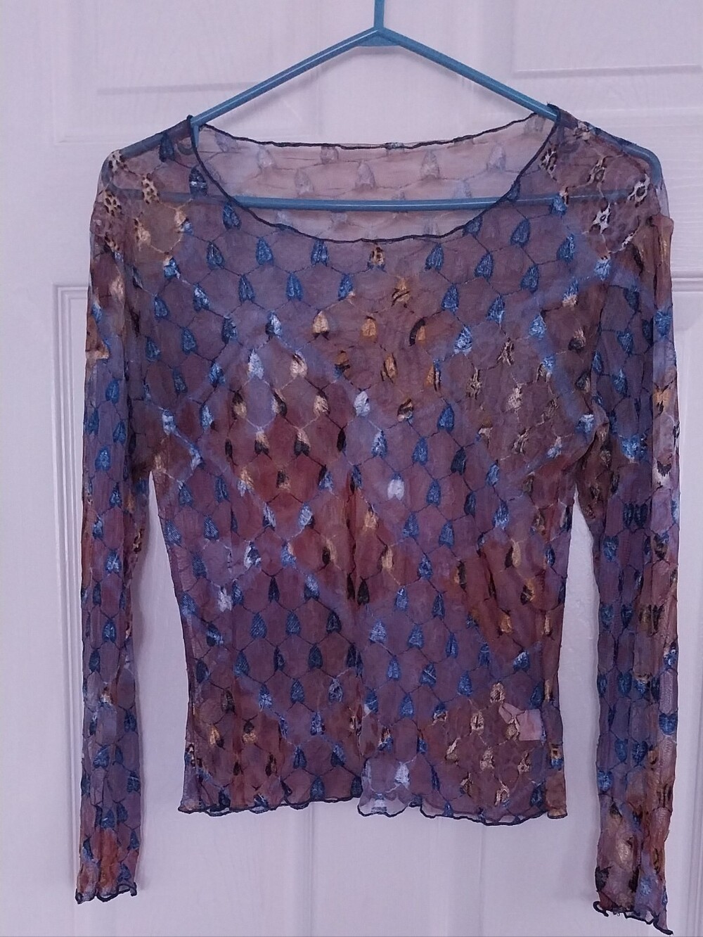 Sheer Long-Sleeve Mesh Top in Blue and Brown - Picture 1 of 9